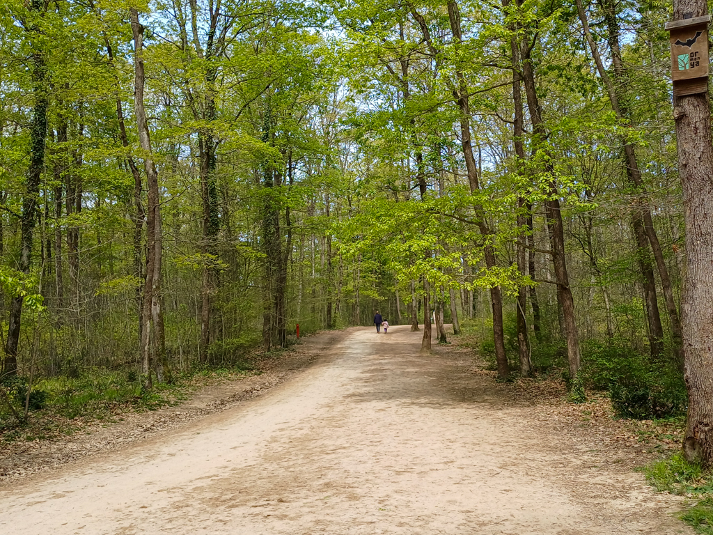 Orman Yolu