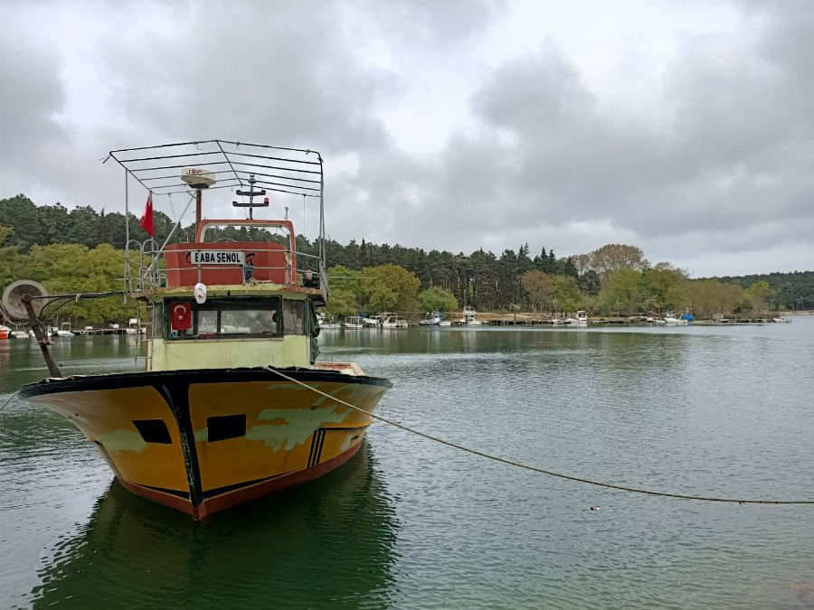 Adsız